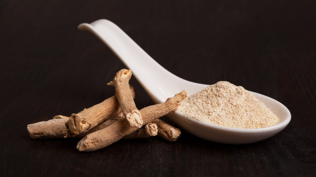 Ashwagandha: El Adaptógeno Natural que Revoluciona el Bienestar Diario