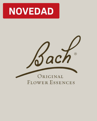 Bach