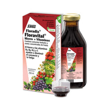 Salus Floradix Floravital Líquido - 250ml